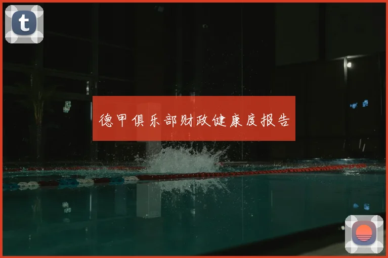 德甲俱乐部财政健康度报告