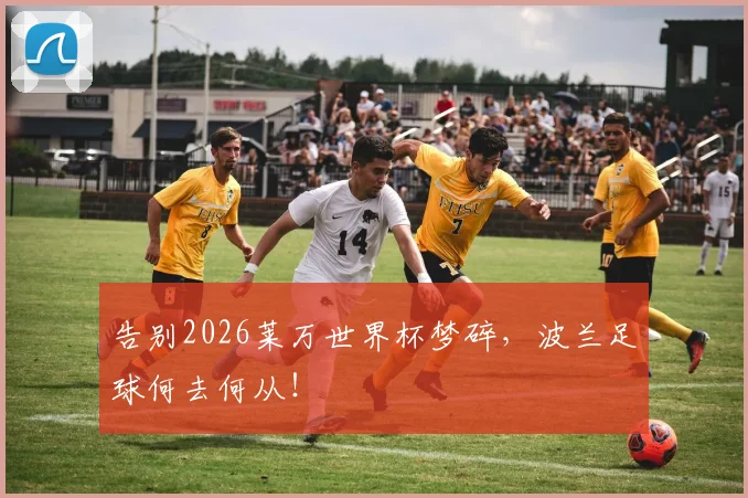 告别2026莱万世界杯梦碎,波兰足球何去何从!