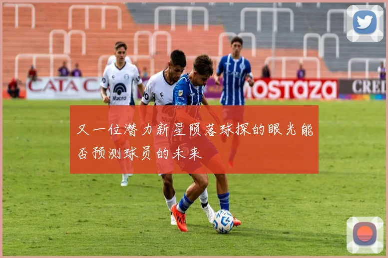 又一位潜力新星陨落球探的眼光能否预测球员的未来