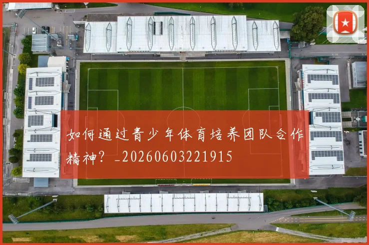 如何通过青少年体育培养团队合作精神？_20260603221915