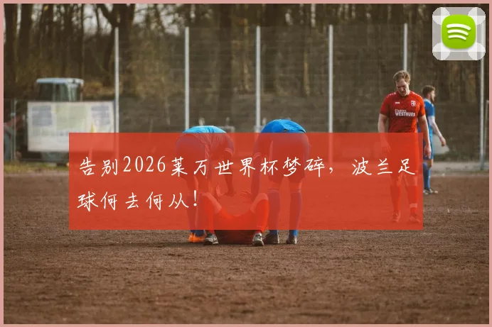 告别2026莱万世界杯梦碎，波兰足球何去何从！
